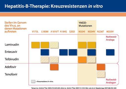 Viread® – effektive Langzeitstrategie mit ausgezeichnetem Resistenz- und Sicherheitsprofil