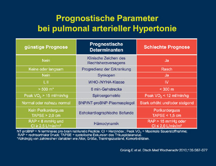 Prof. Dr. med. Ralf Ewert, Greifswald: Therapieziele der Gegenwart – Neues zur PAH aus Greifswald