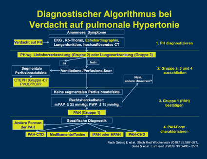 PD Dr. med. Christian Opitz, Berlin: Wie können wir die aktuellen Empfehlungen zur Echokardiographie bei PAH umsetzen?