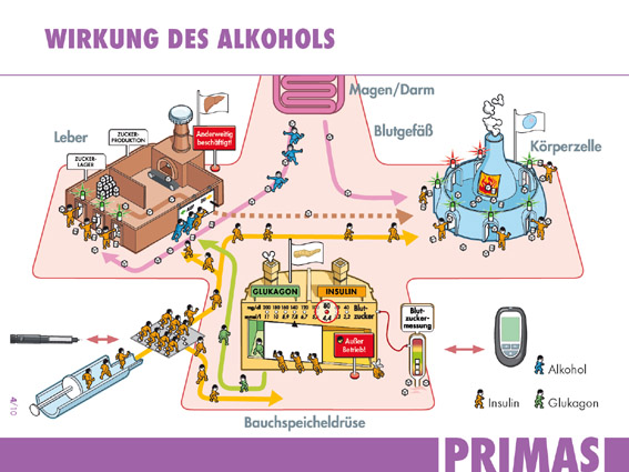 Typ-1-Diabetes: PRIMAS: Erfahrungen aus der Schulungspraxis