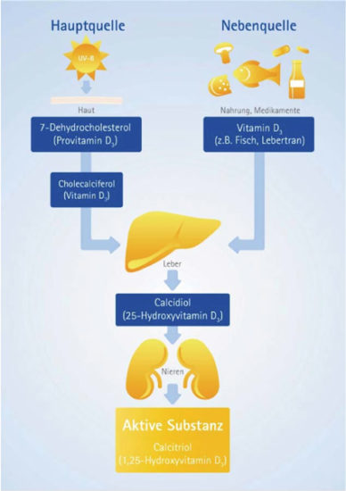 Vitamin D-Mangel: Risikofaktor für Mortalität?