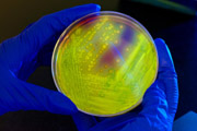 Are hospitals doing all they can to prevent C. diff infections? Not yet, new study finds